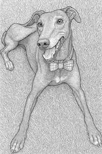Bowtie Bliss: Canine Charm in Linework