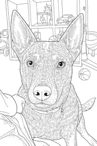 Loyal Canine with Toys Galore