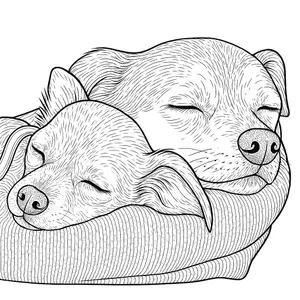 Puppy Dreams and Cozy Naps